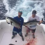 Islamaorada fall fishing blackfin tuna