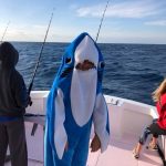 Islamorada Junior sailfish tournament