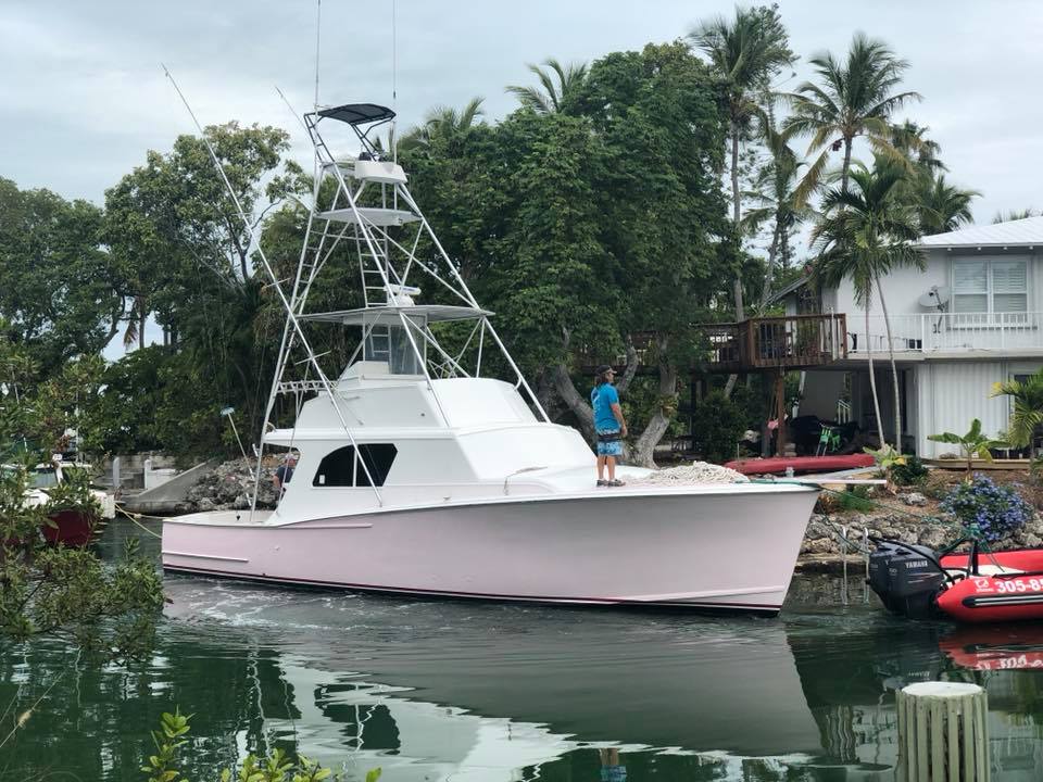 january-islamorada-fishing-charter-report-buzz-on-islamorada-fishing